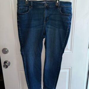 Lane Bryant Jean
